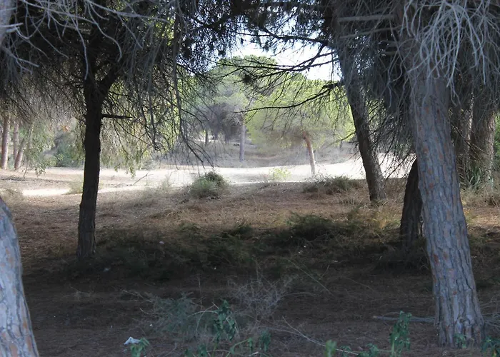 فندق Marina Elche 2*