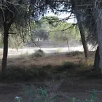 Ξενοδοχείο Marina Elche 2*
